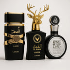 KIT 3 PERFUMES MASCULINOS ÁRABES 100ml CADA | ASAD LATTAFA + FAKHAR BLACK + AL NOBLE (QUEIMA DE ESTOQUE)